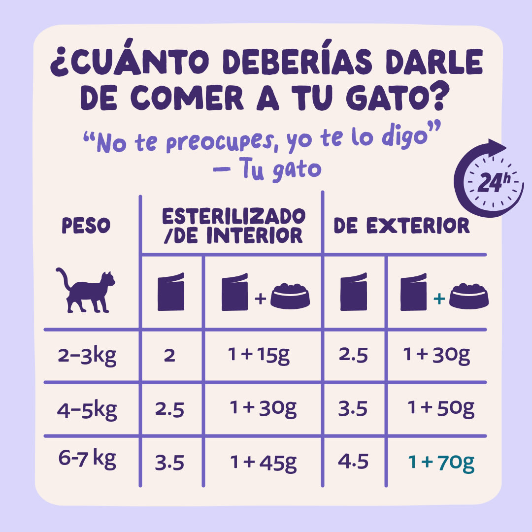 7 Chunks-Pouches DTC ES Duck Guidelines