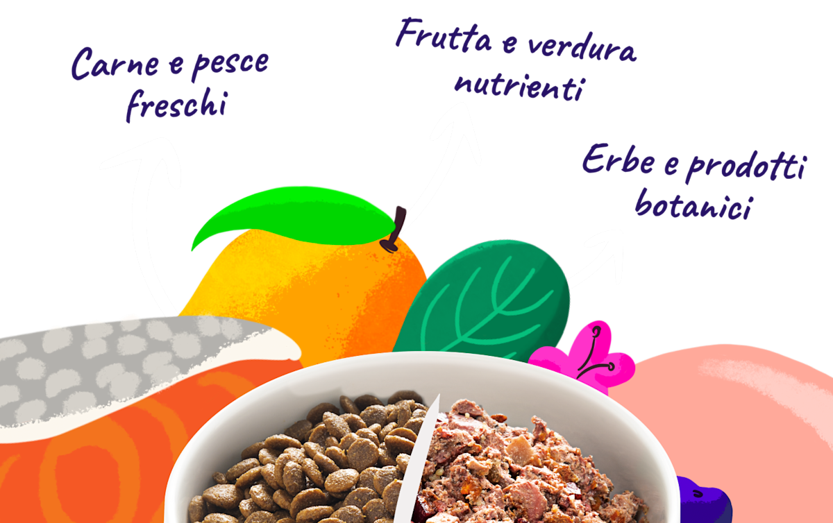 Ingredients IT