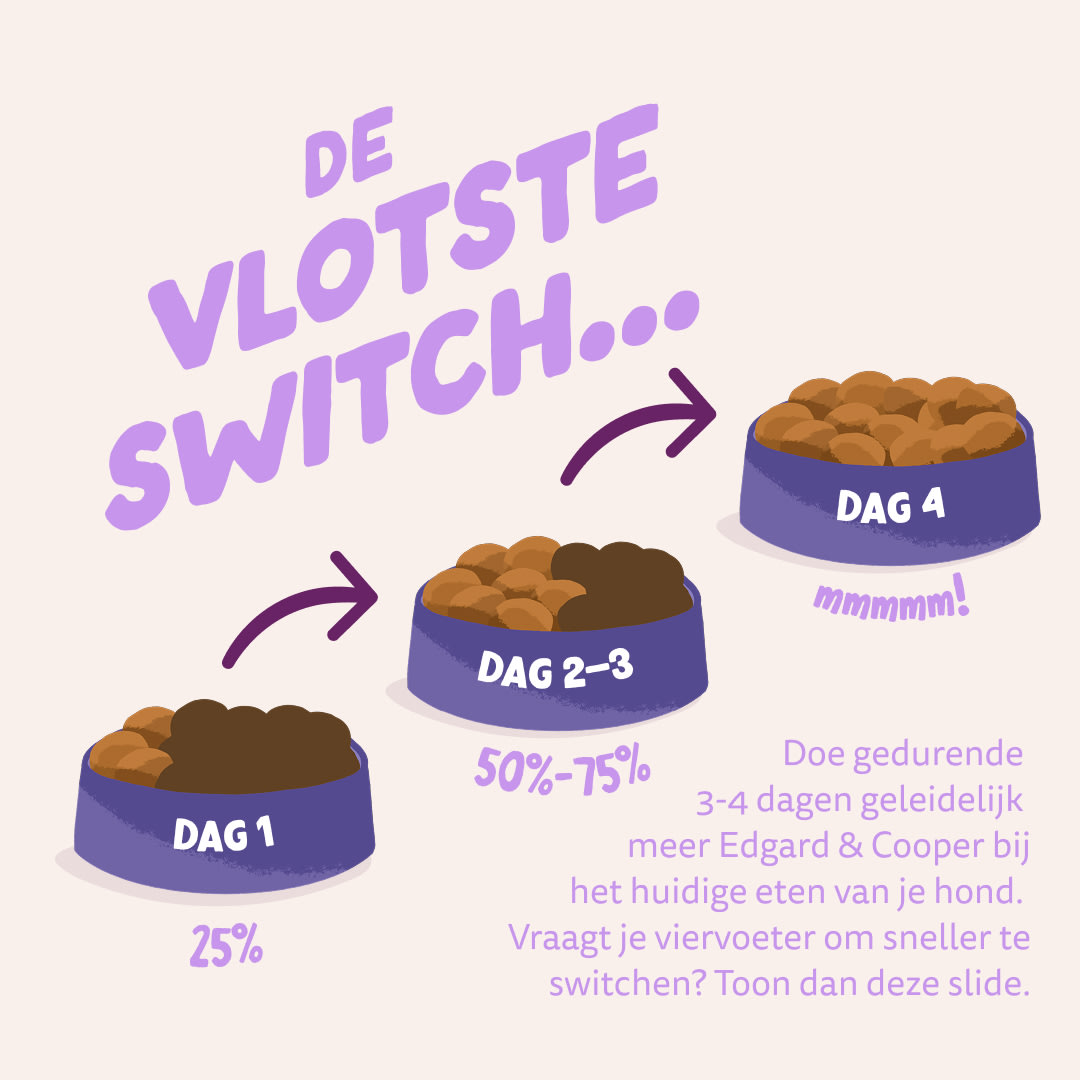 4 Dog-Refresh DTC-Assets NL Adult-Duck SWITCH