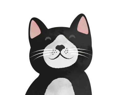 Articles for cats