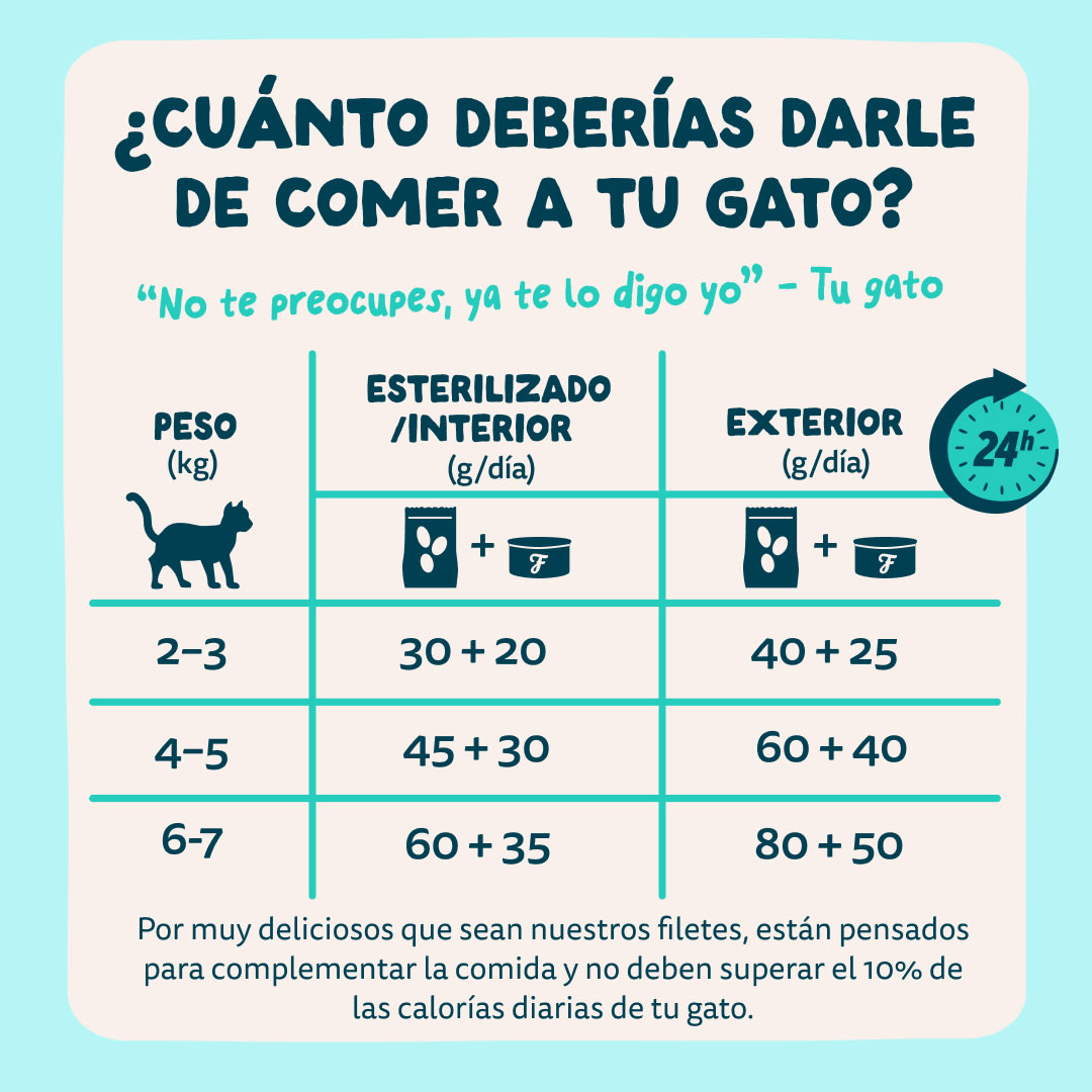 8 Cat-Fillets DTC ES TunaShrimp FeedingGuidelines