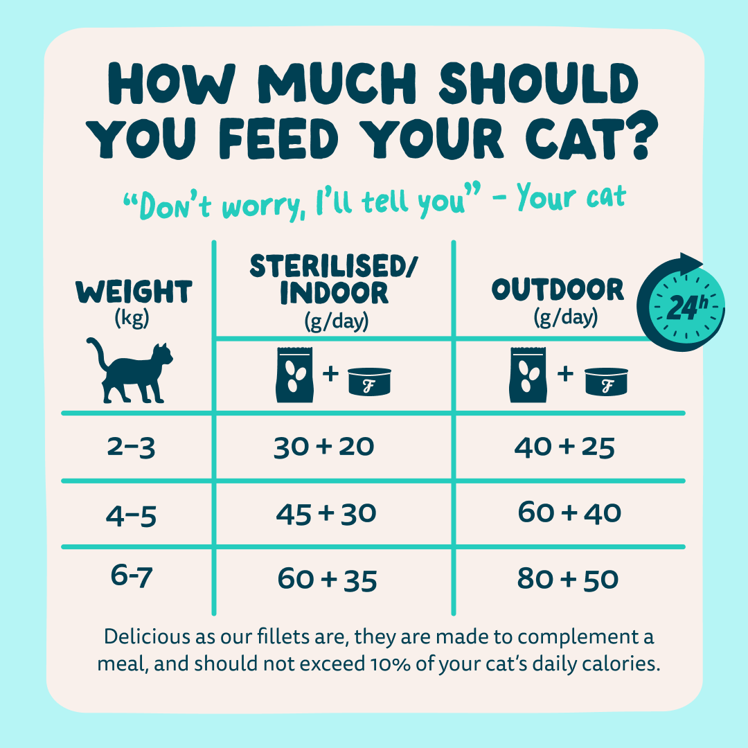 8 Cat-Fillets DTC EXP TunaShrimp FeedingGuidelines