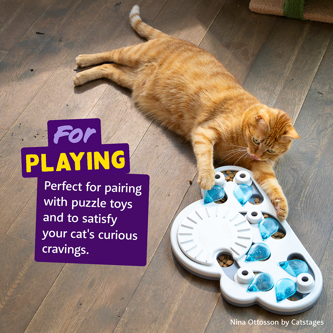 Ecomm Needs - Cat All Crunchies Salmon EN