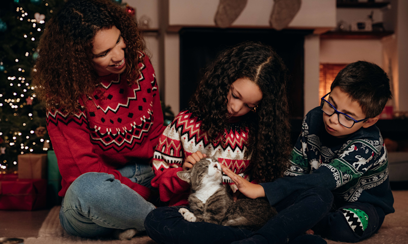Cat being cuddled by family in living room area.
