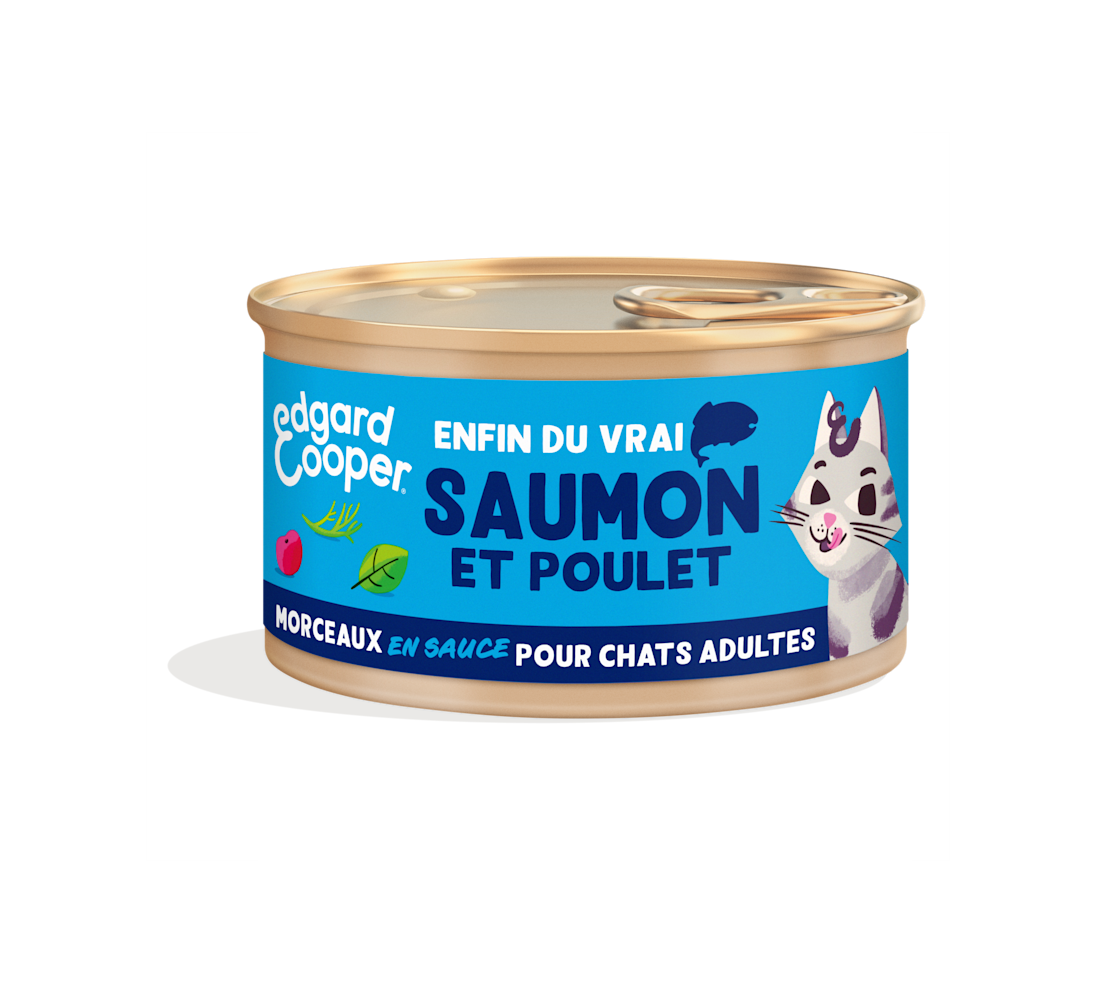 Pack - Cat Adult Chunks Salmon Chicken FR