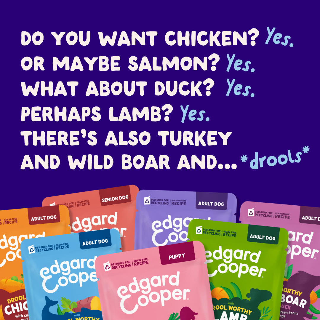 5 DWD D2C EXP Salmon Flavours
