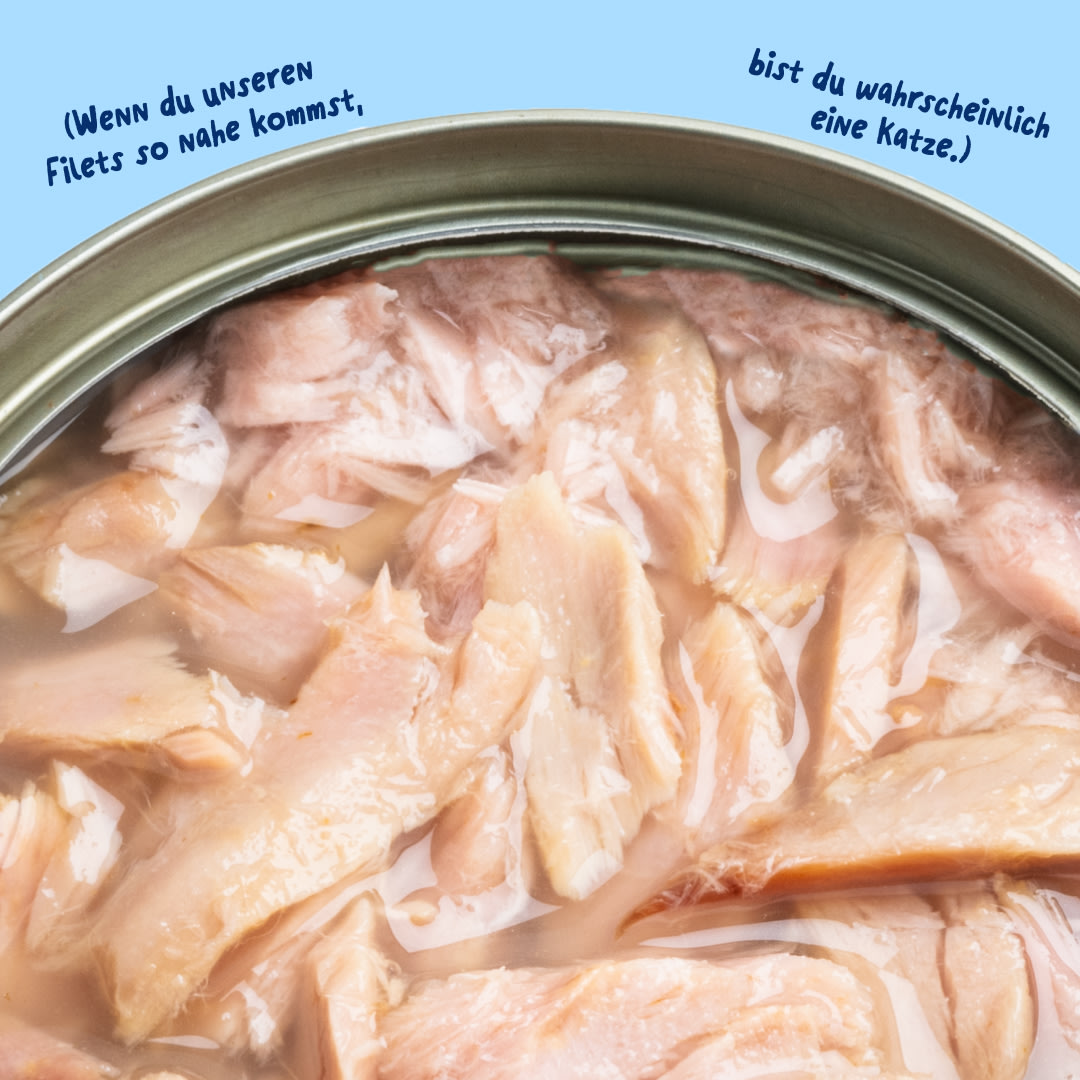 6 Cat-Fillets DTC DE TunaNatural Texture