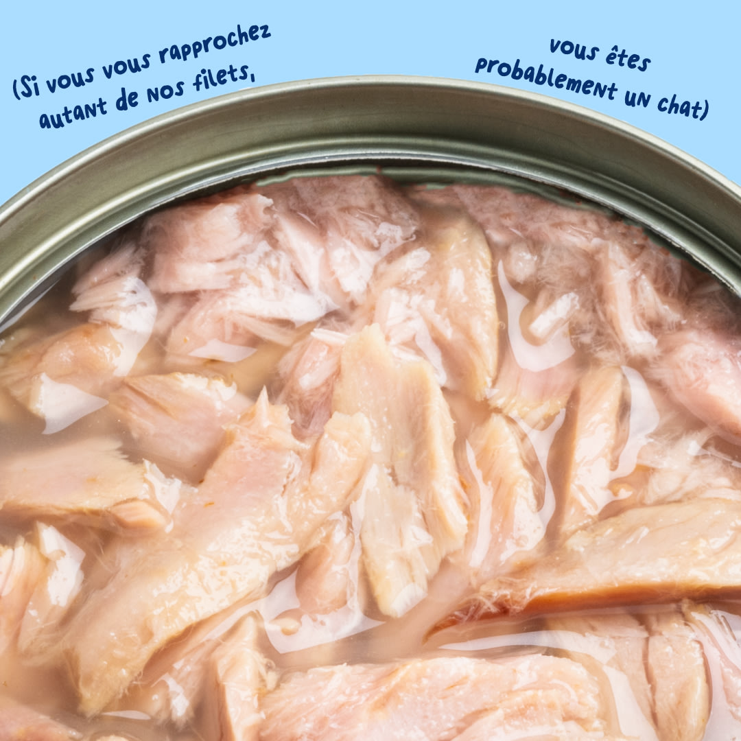 6 Cat-Fillets DTC FR TunaNatural Texture