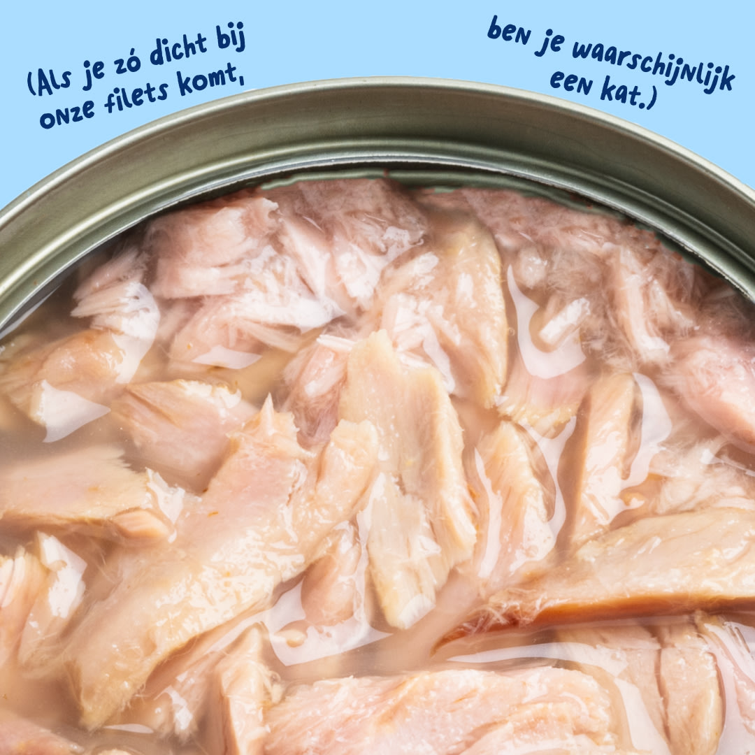6 Cat-Fillets DTC NL TunaNatural Texture