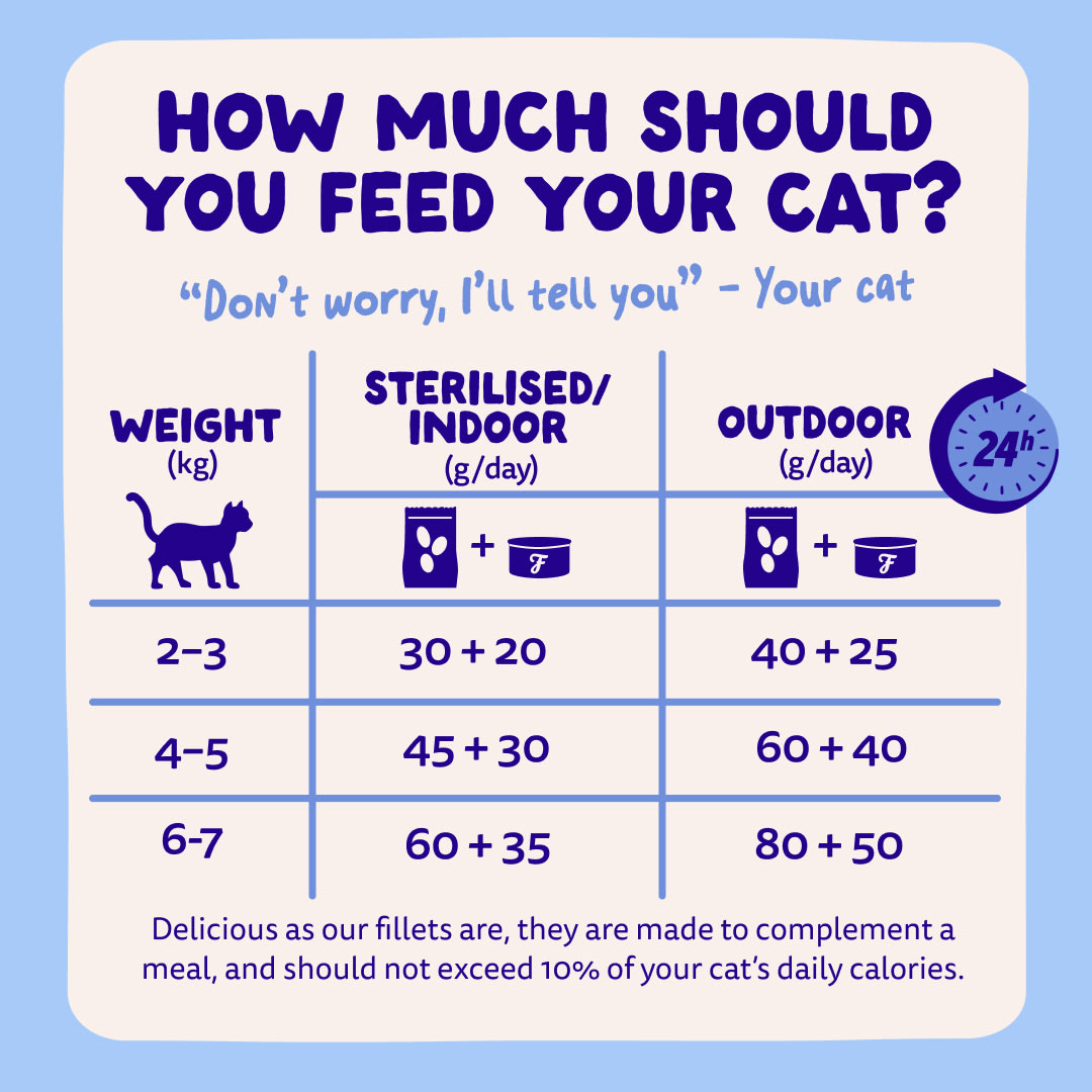 8 Cat-Fillets DTC EXP TunaChicken FeedingGuidelines