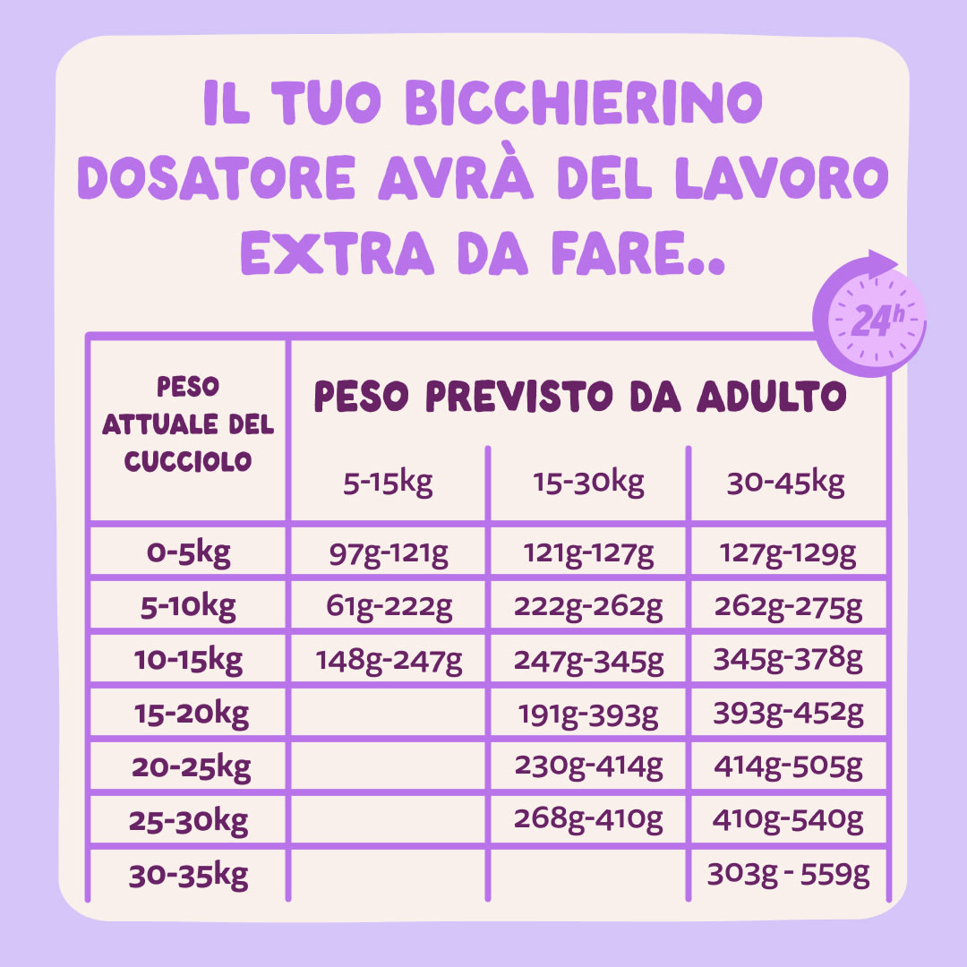 8 Dog-Refresh DTC-Assets IT Puppy-Salmon FEEDING-GUIDELINE