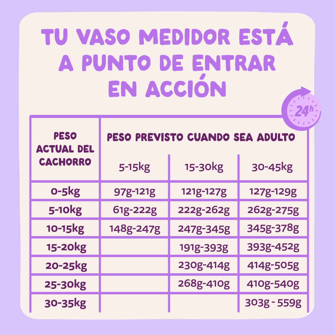 8 Dog-Refresh DTC-Assets ES Puppy-Salmon FEEDING-GUIDELINE