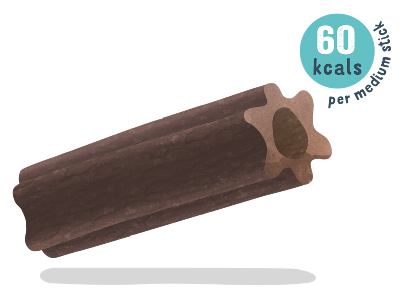 dentalLighterStickIcon