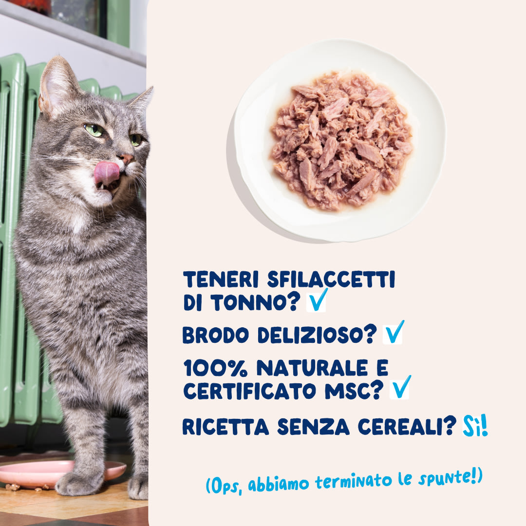 5 Cat-Fillets DTC IT TunaNatural USPs