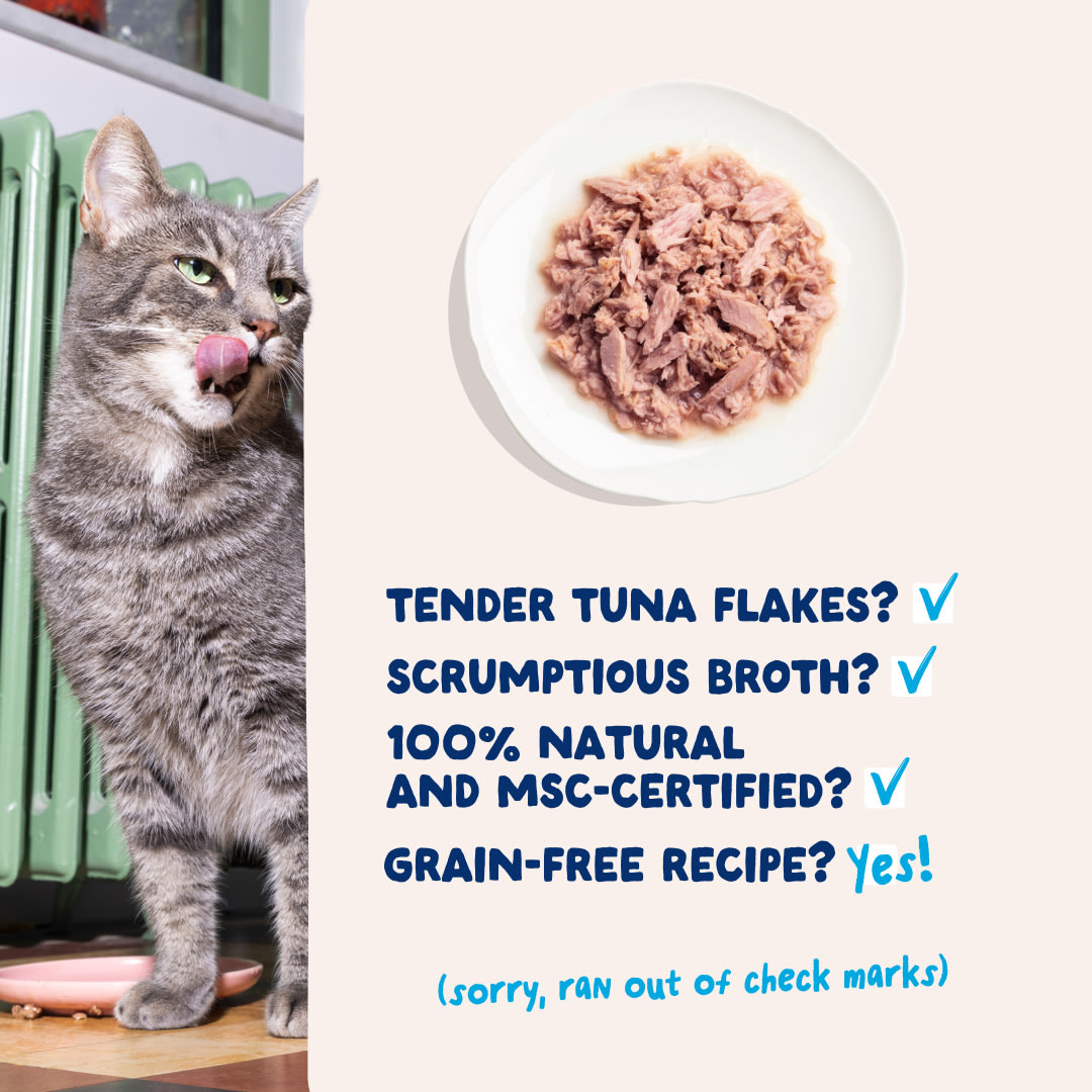 5 Cat-Fillets DTC EXP TunaNatural USPs