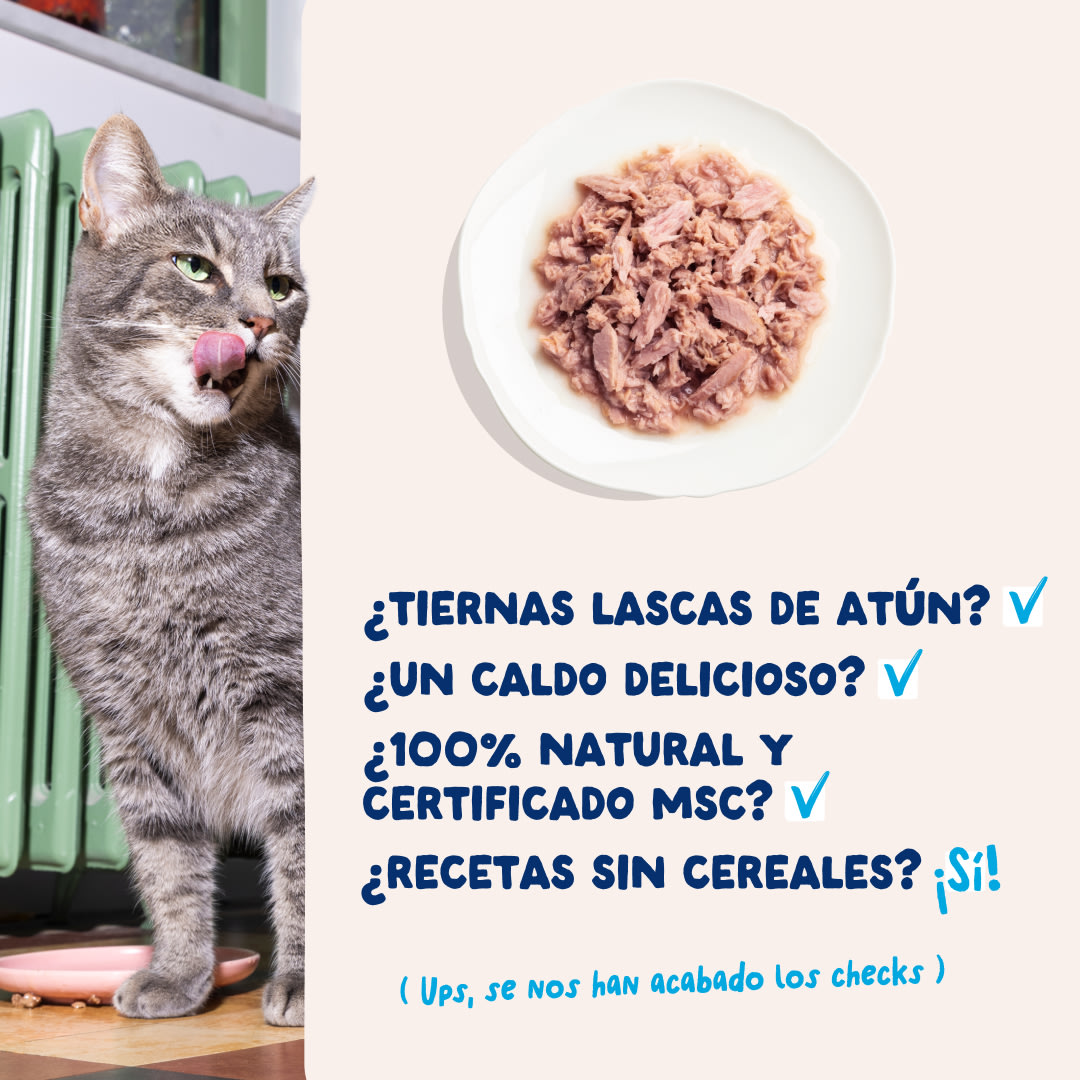5 Cat-Fillets DTC ES TunaNatural USPs