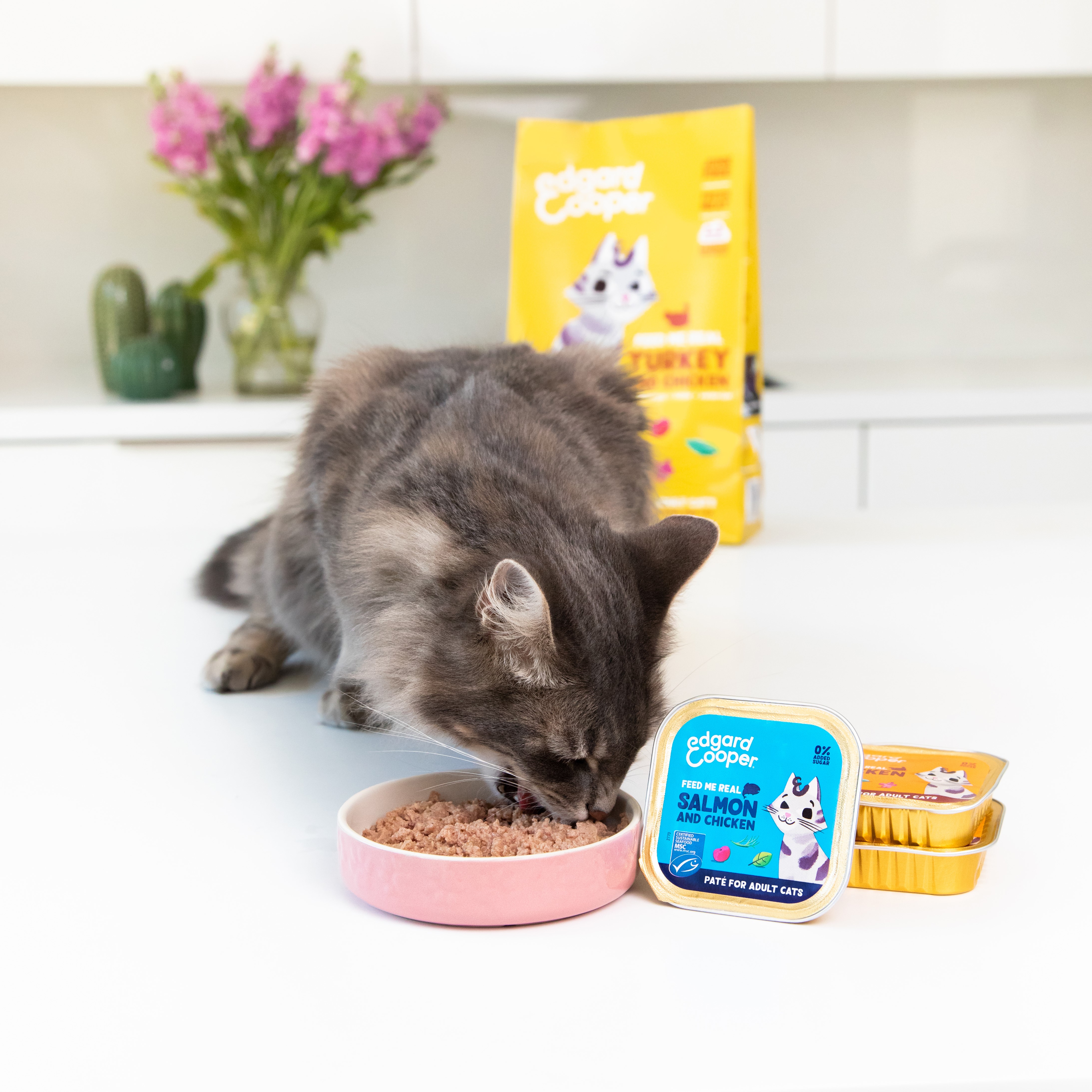 Dogs’n Tiger Adult Natvoer Mixpakket – 16 X 200g – Graanvrij – Met Rundvlees, Lam, Kalkoen, Kip & Eend – Zonder Suikers & Conserveermiddelen – Compleet Hondenvoer