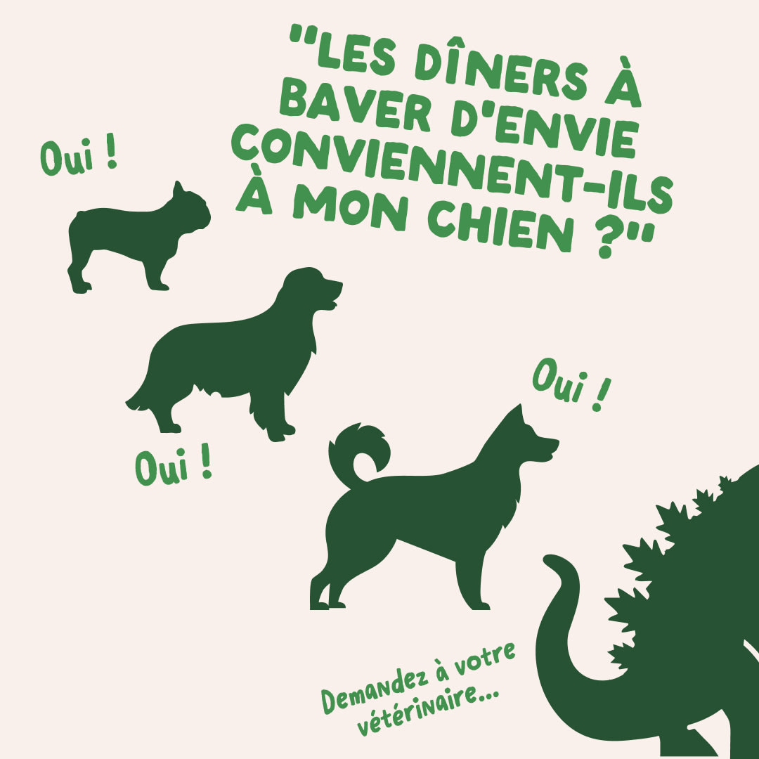 8 DWD D2C FR Lamb Size