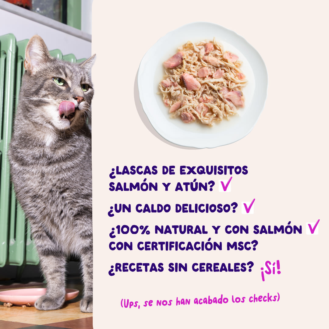 5 Cat-Fillets DTC ES SalmonTuna USPs