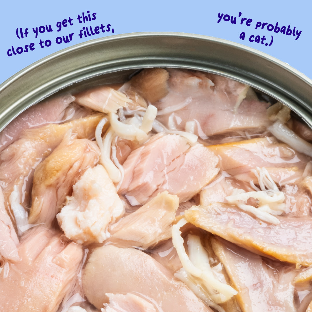 6 Cat-Fillets DTC EXP TunaChicken Texture