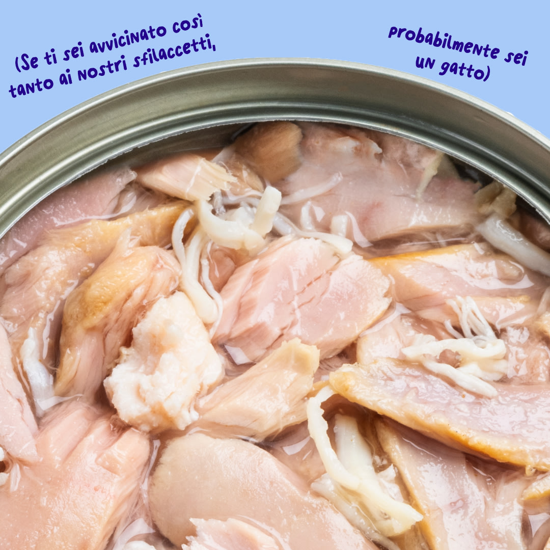 6 Cat-Fillets DTC IT TunaChicken Texture