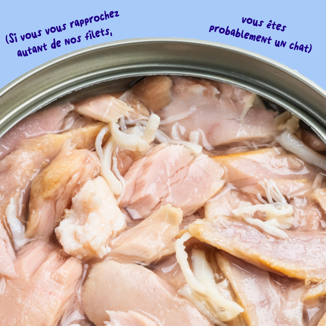 6 Cat-Fillets DTC FR TunaChicken Texture