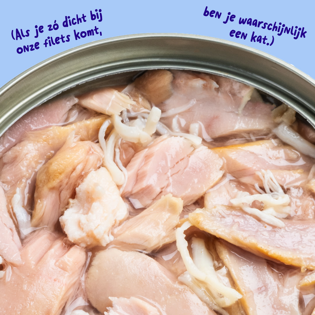 6 Cat-Fillets DTC NL TunaChicken Texture