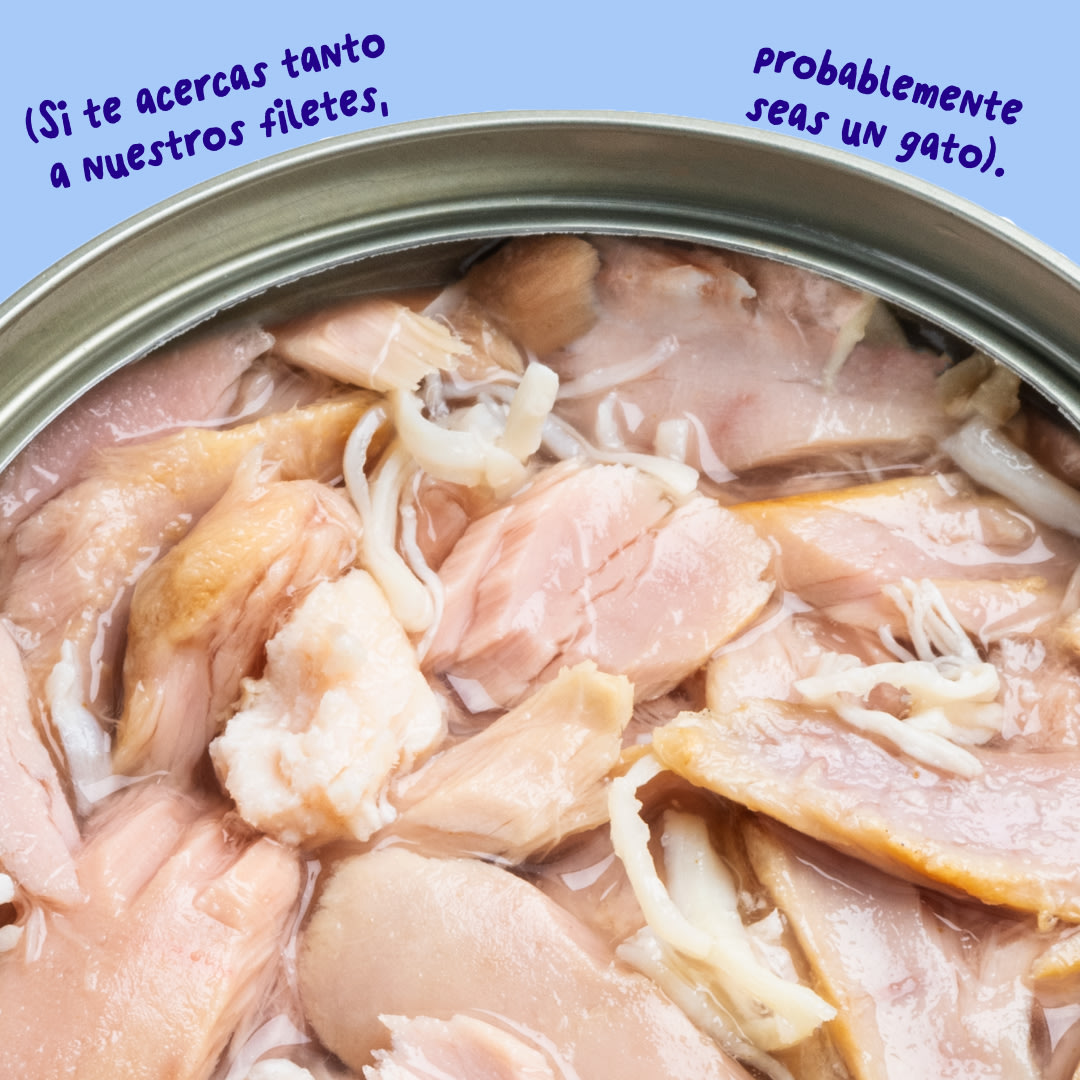 6 Cat-Fillets DTC ES TunaChicken Texture