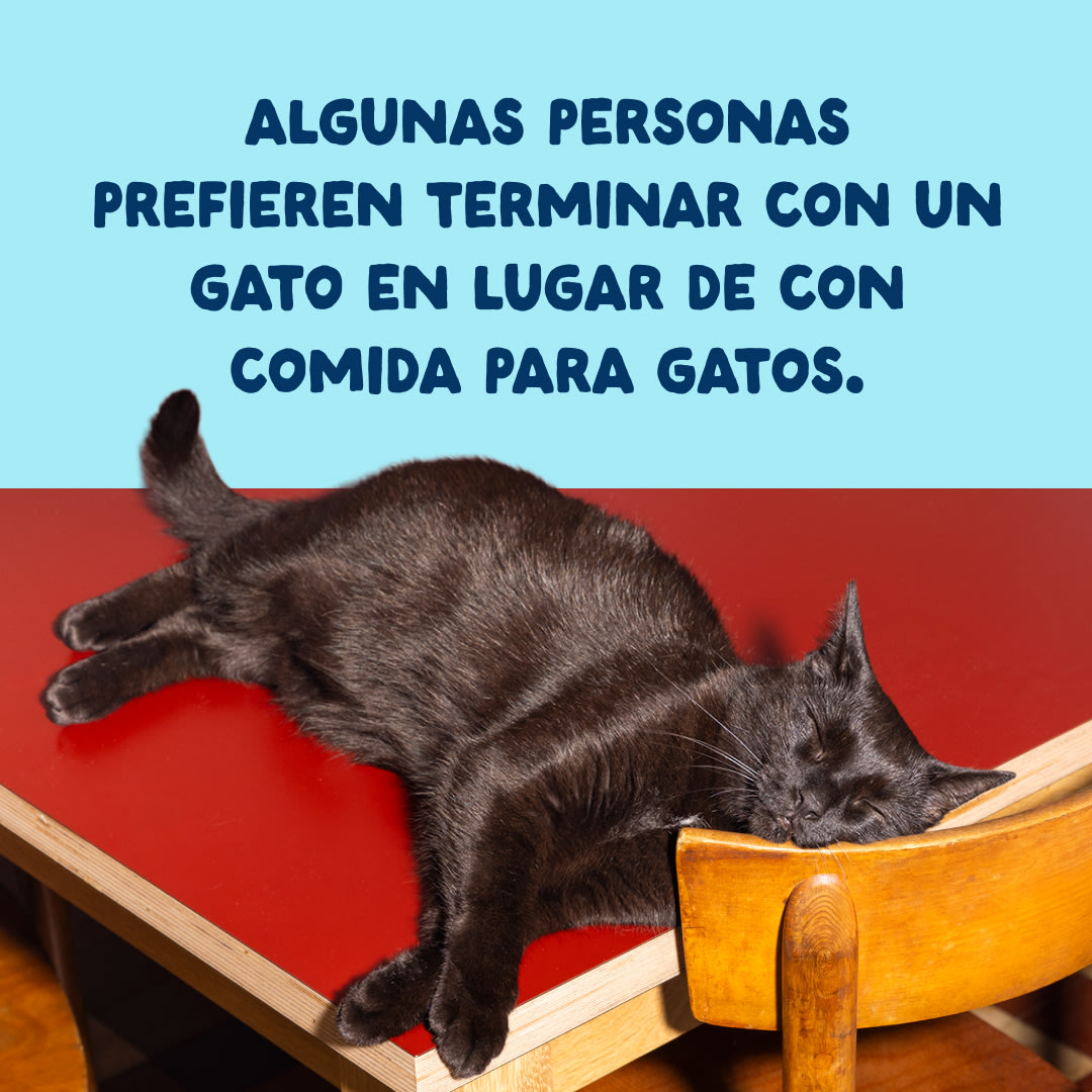 10 Cat-Fillets DTC ES TunaSquid End