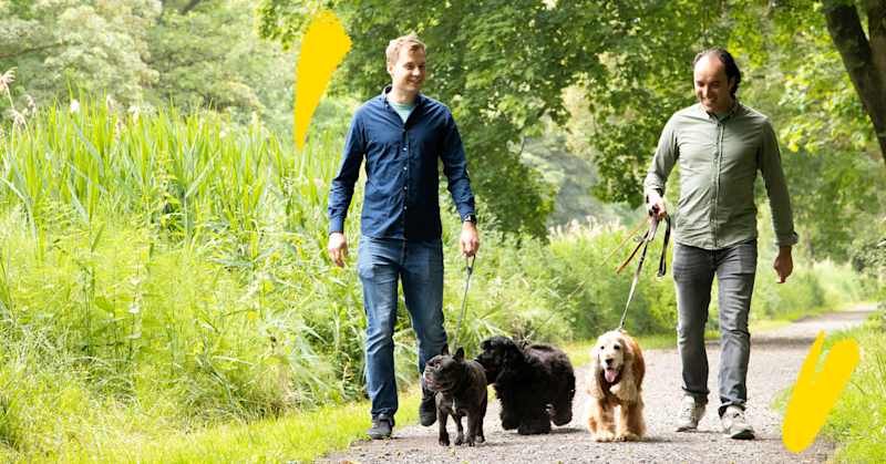 Photo of two men walking their 3 dogs (1 French bulldog and 2 cocker Spaniels) outside, in nature.