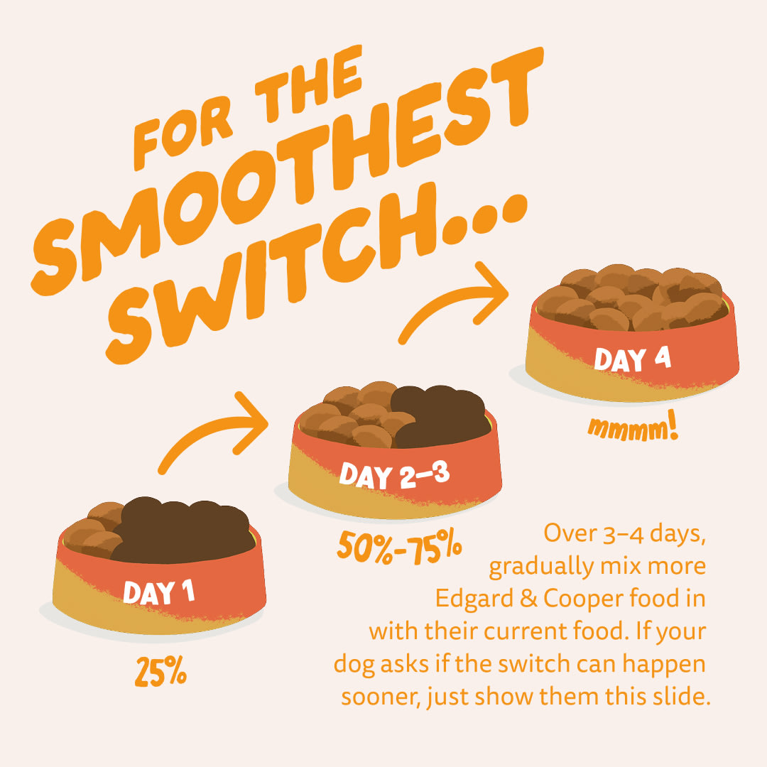 4 Dog-Refresh DTC-Assets EN Adult-Carrot SWITCH