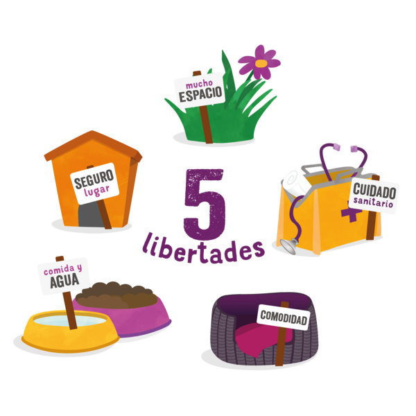5Freedoms ES