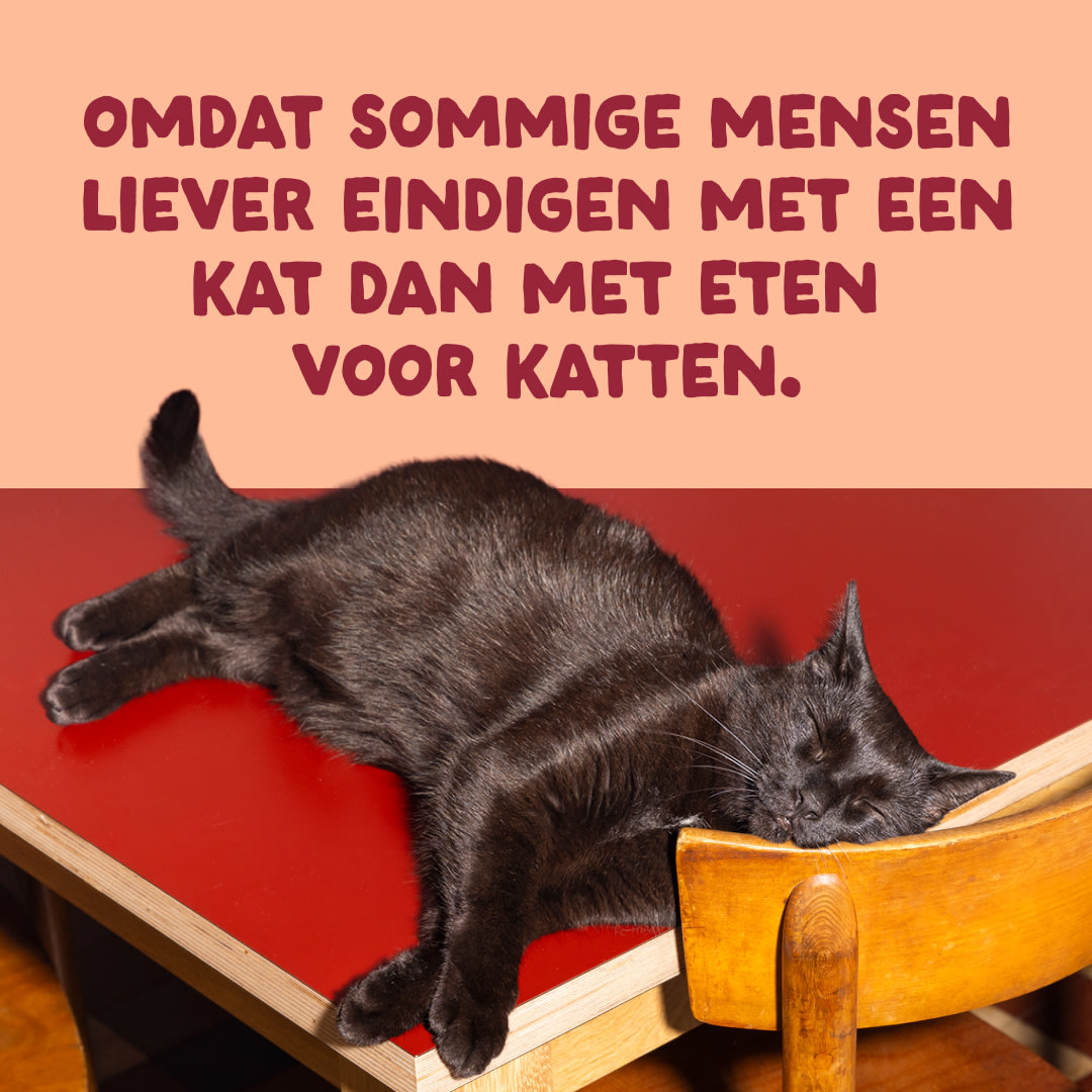 10 Cat-Fillets DTC NL ChickenNatural End