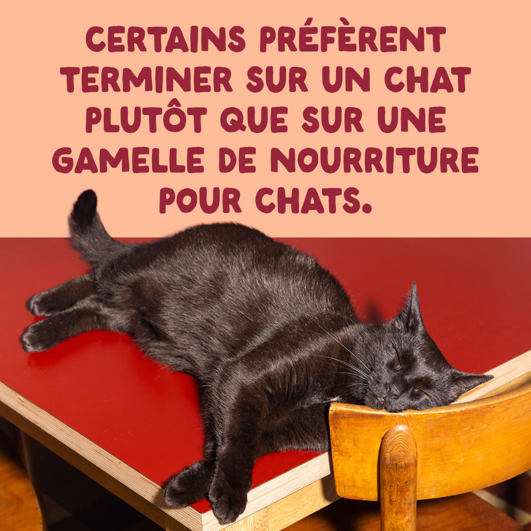 10 Cat-Fillets DTC FR ChickenNatural End