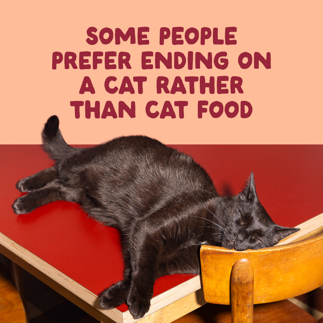 10 Cat-Fillets DTC EXP ChickenNatural End