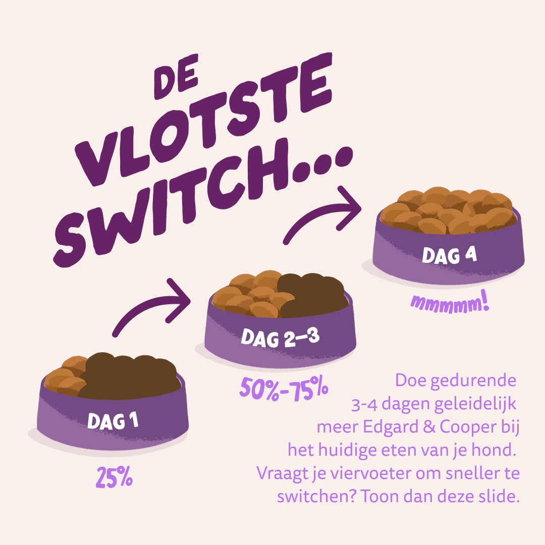 4 Dog-Refresh DTC-Assets NL Puppy-Salmon SWITCH