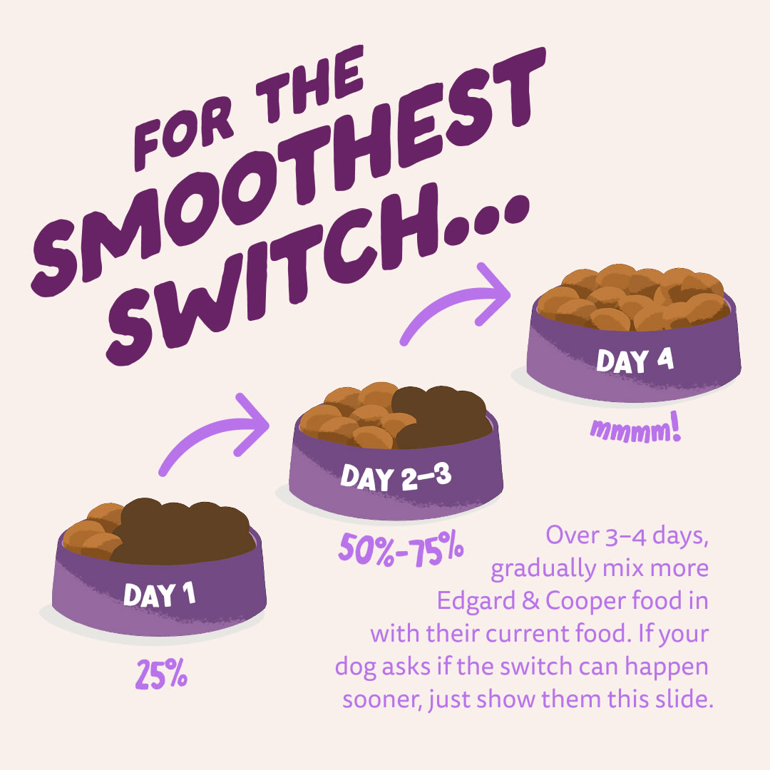 4 Dog-Refresh DTC-Assets EN Puppy-Salmon SWITCH