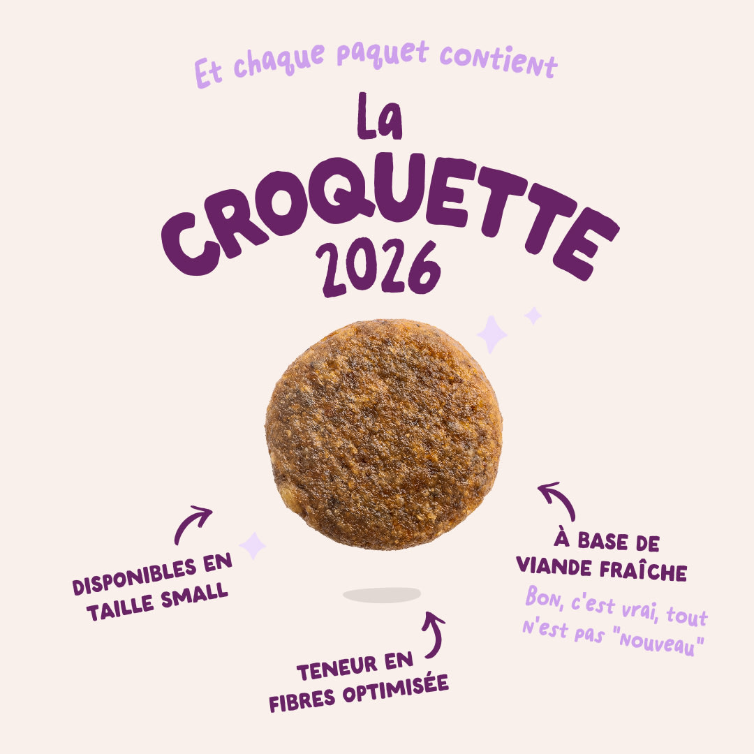 3 Dog-Refresh DTC-Assets FR Adult-Duck 2026 KIBBLE