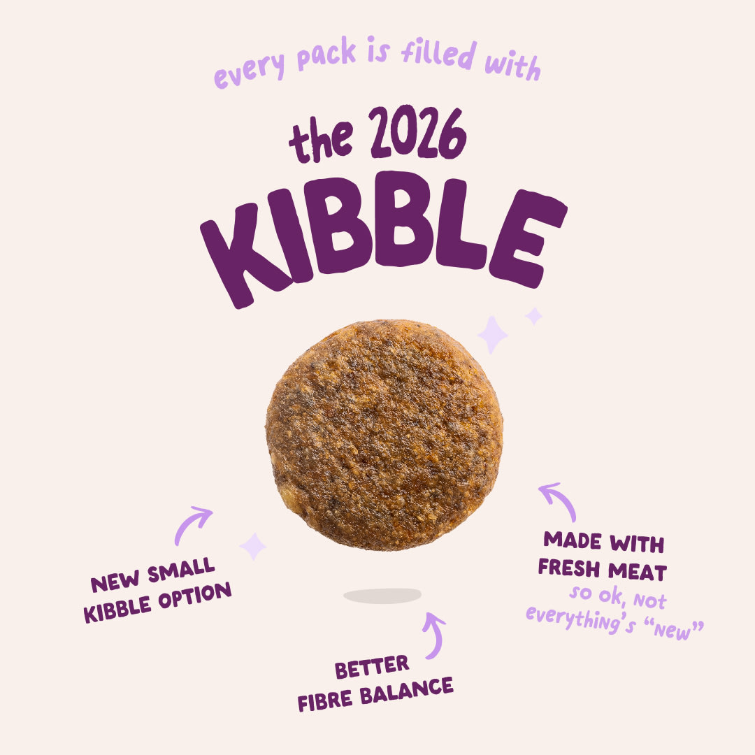 3 Dog-Refresh DTC-Assets EN Adult-Duck 2026 KIBBLE
