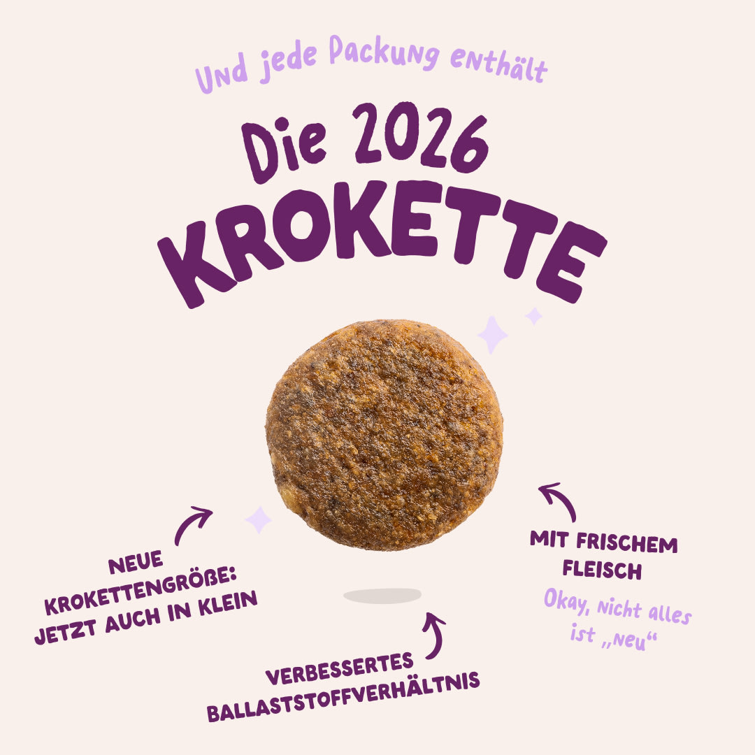 3 Dog-Refresh DTC-Assets DE Adult-Duck 2026 KIBBLE