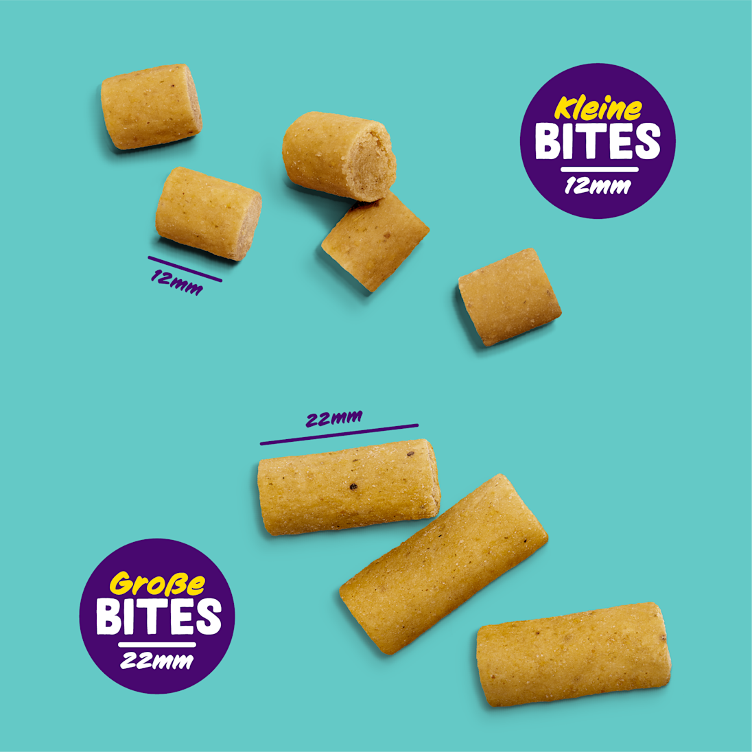 EC 2023 Bites sizes DE