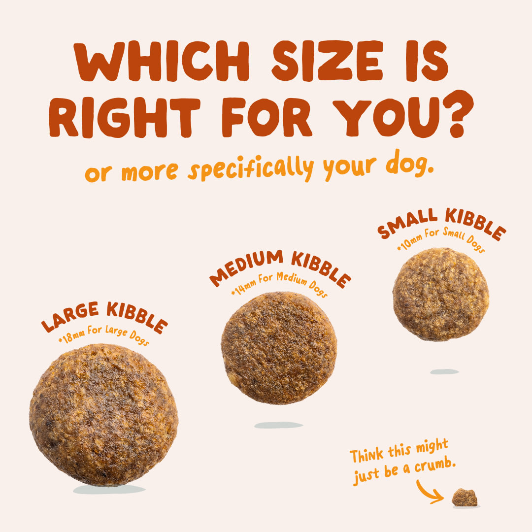 6 Dog-Refresh DTC-Assets EN Adult-Carrot SIZE