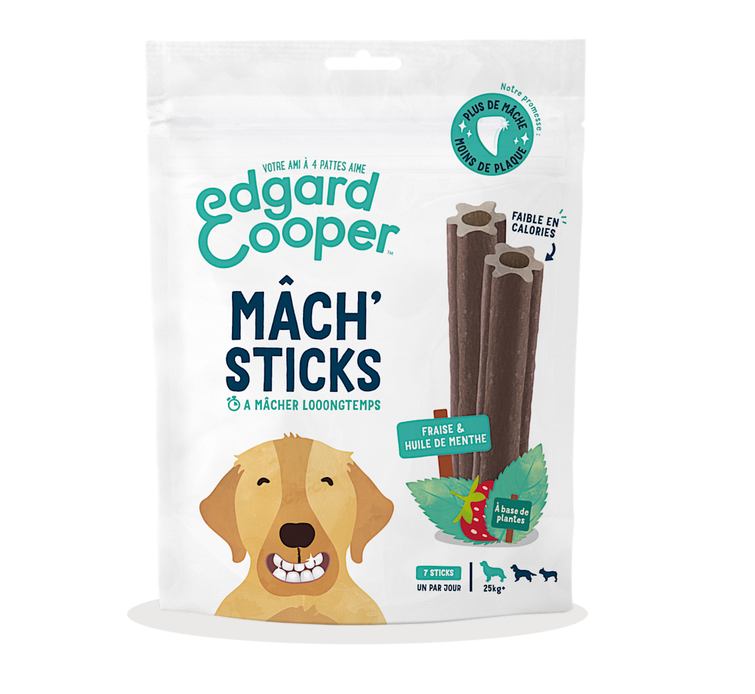 Pack - Dog Adult Dental Strawberry Mint Large SRP FR
