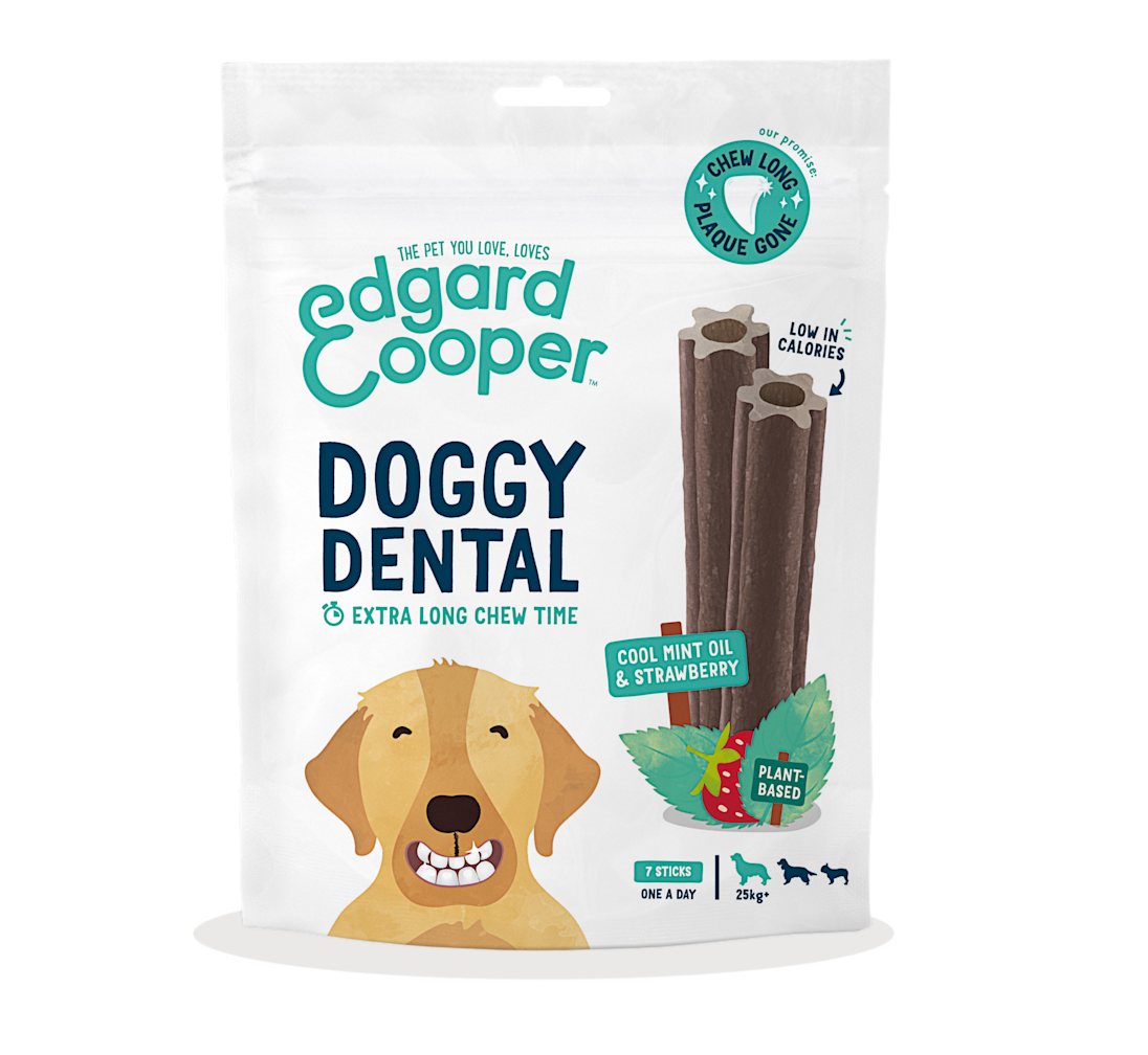 Pack - Dog Adult Dental Strawberry Mint Large SRP EN