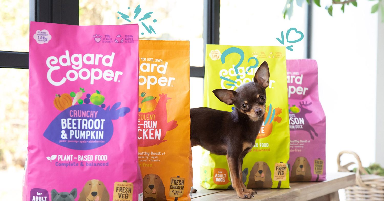 How to introduce plant-based recipes into your dog's diet | Edgard & Cooper