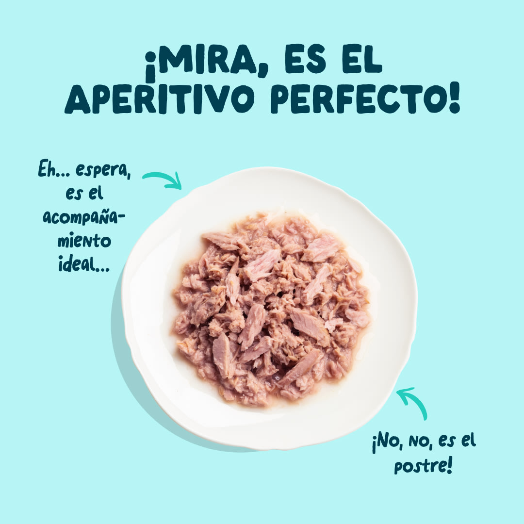 4 Cat-Fillets DTC ES TunaShrimp TopView