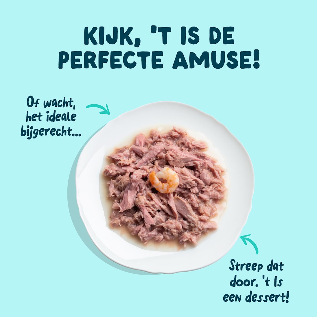 4 Cat-Fillets DTC NL TunaShrimp TopView