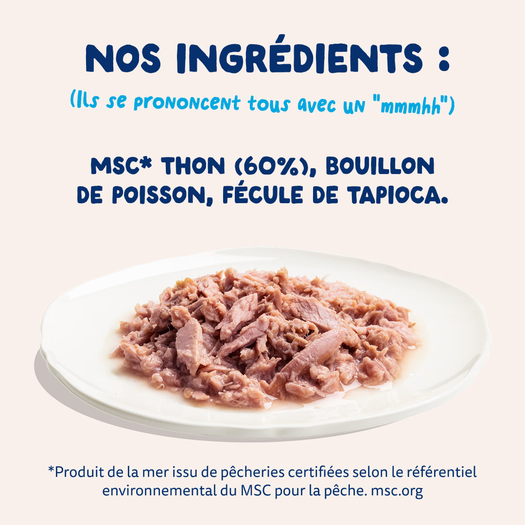 7 Cat-Fillets DTC FR TunaNatural Ingredients