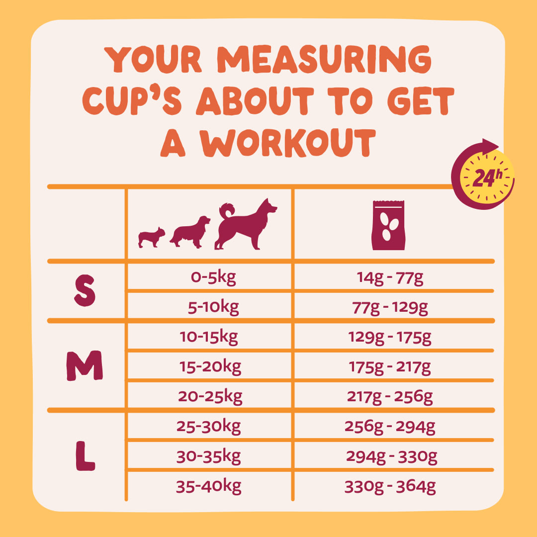 8. Dog-Refresh DTC-Assets Adult-Chicken FEEDING-GUIDELINE