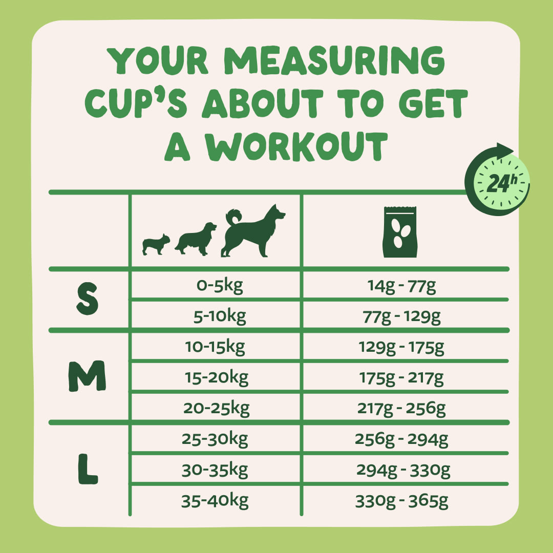 8 Dog-Refresh DTC-Assets EN Adult-Lamb FEEDING-GUIDELINE